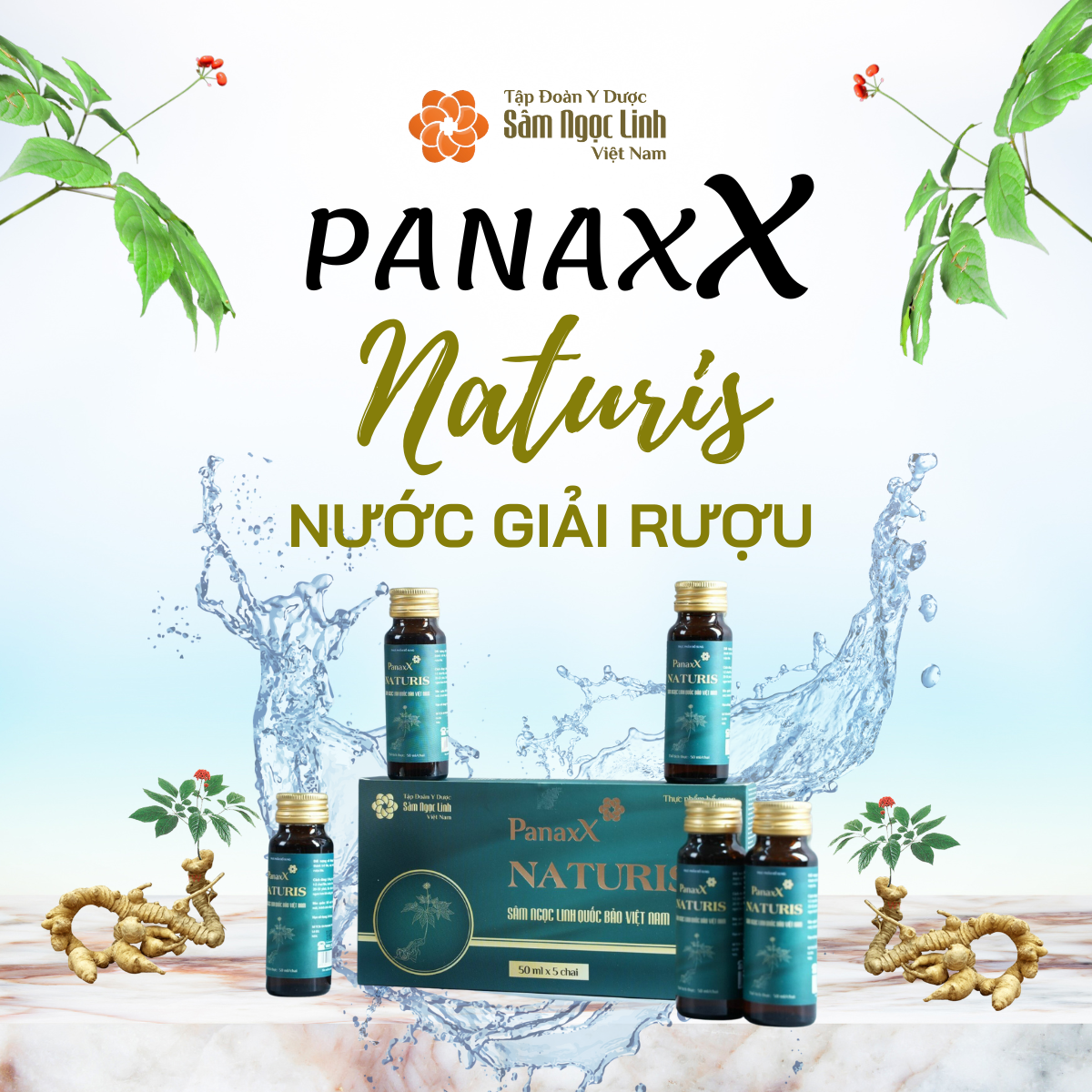 Nước giải rượu PanaxX Naturis (Hộp 5 chai)